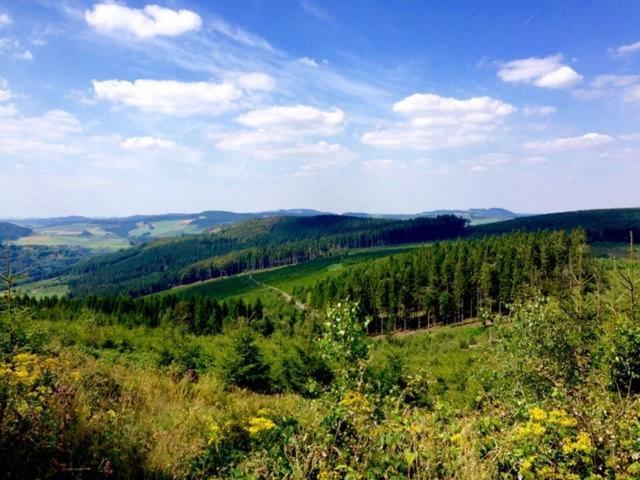 Ferienwohnung Little Home In Winterberg-Neuastenberg Екстериор снимка