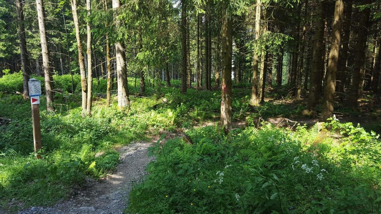 Ferienwohnung Little Home In Winterberg-Neuastenberg Екстериор снимка